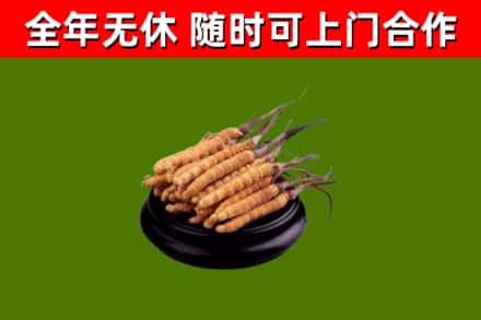 墨江县烟酒回收冬虫夏草.jpg